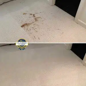 Carpet Cleaning