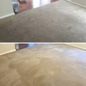 Carpet Cleaning