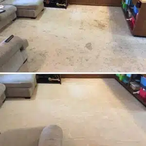 Carpet Cleaning
