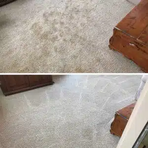 Carpet Cleaning