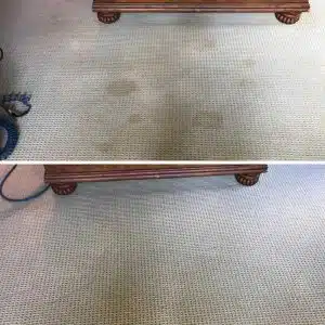 Carpet Cleaning