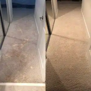 Carpet Cleaning