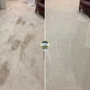 Carpet Cleaning