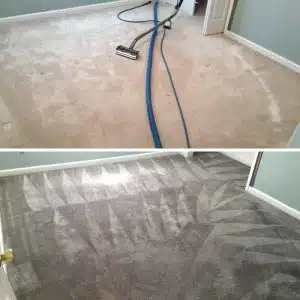 Carpet Dyeing