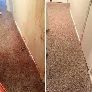 Water Damage Restoration